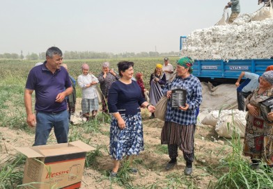 Sariosiyo tumanida paxta terimi davom etmoqda