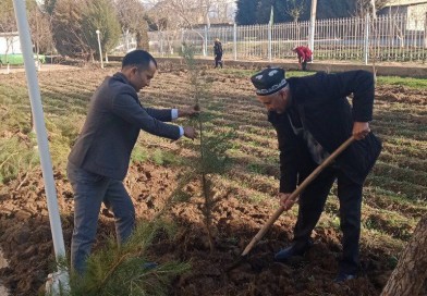 Bugungi kunda tumanimizni “Yashil makon”ga aylantirish ishlari jadalik bilan amalga oshirilmoqda.