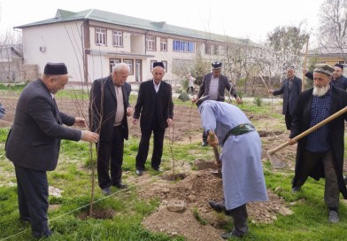 Yashil makon o‘z hududimizdan boshlanadi