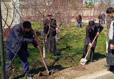 Obod va fayzli mahalla — yurt koʻrki 17.03.2024-yil