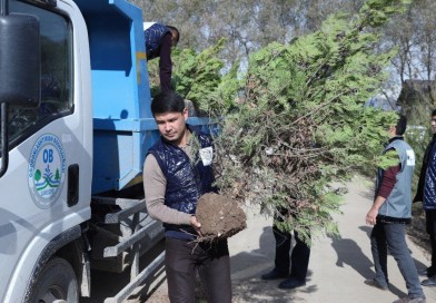 Prezident ta’lim muassasalari agentligi Sariosiyo tuman ixtisoslashtirilgan maktab-internatida