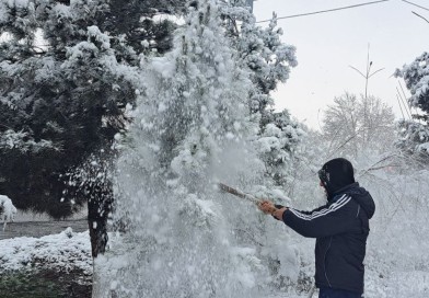 Obodonlashtirish va tozalik ishlari mavsum tanlamas